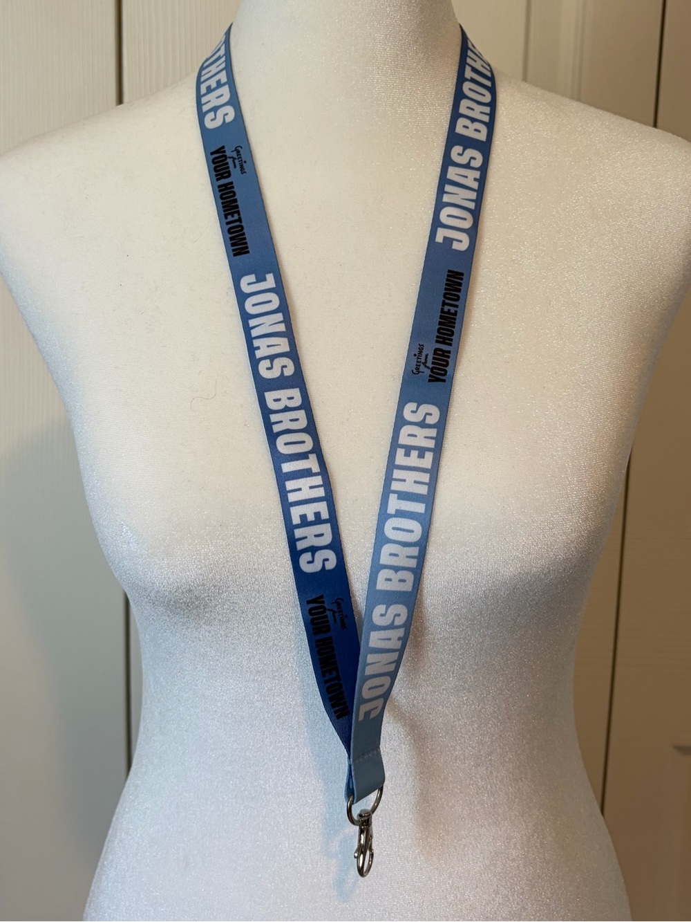 Jonas Brothers Greetings From Your Hometown 20th Anniversary Tour VIP Lanyard